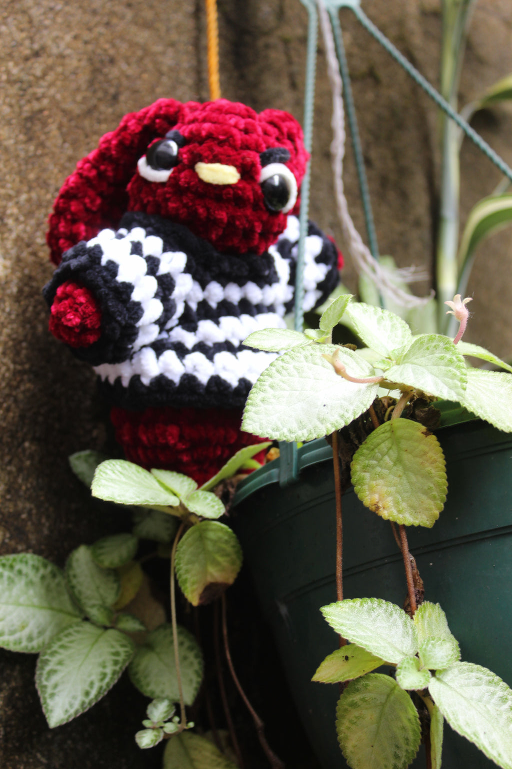 Bodoque — Designer Amigurumi