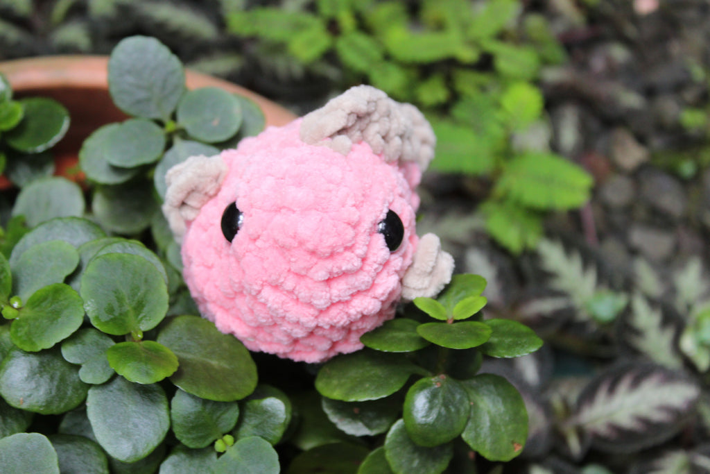 Pececito Rosado — Amigurumi de Diseño