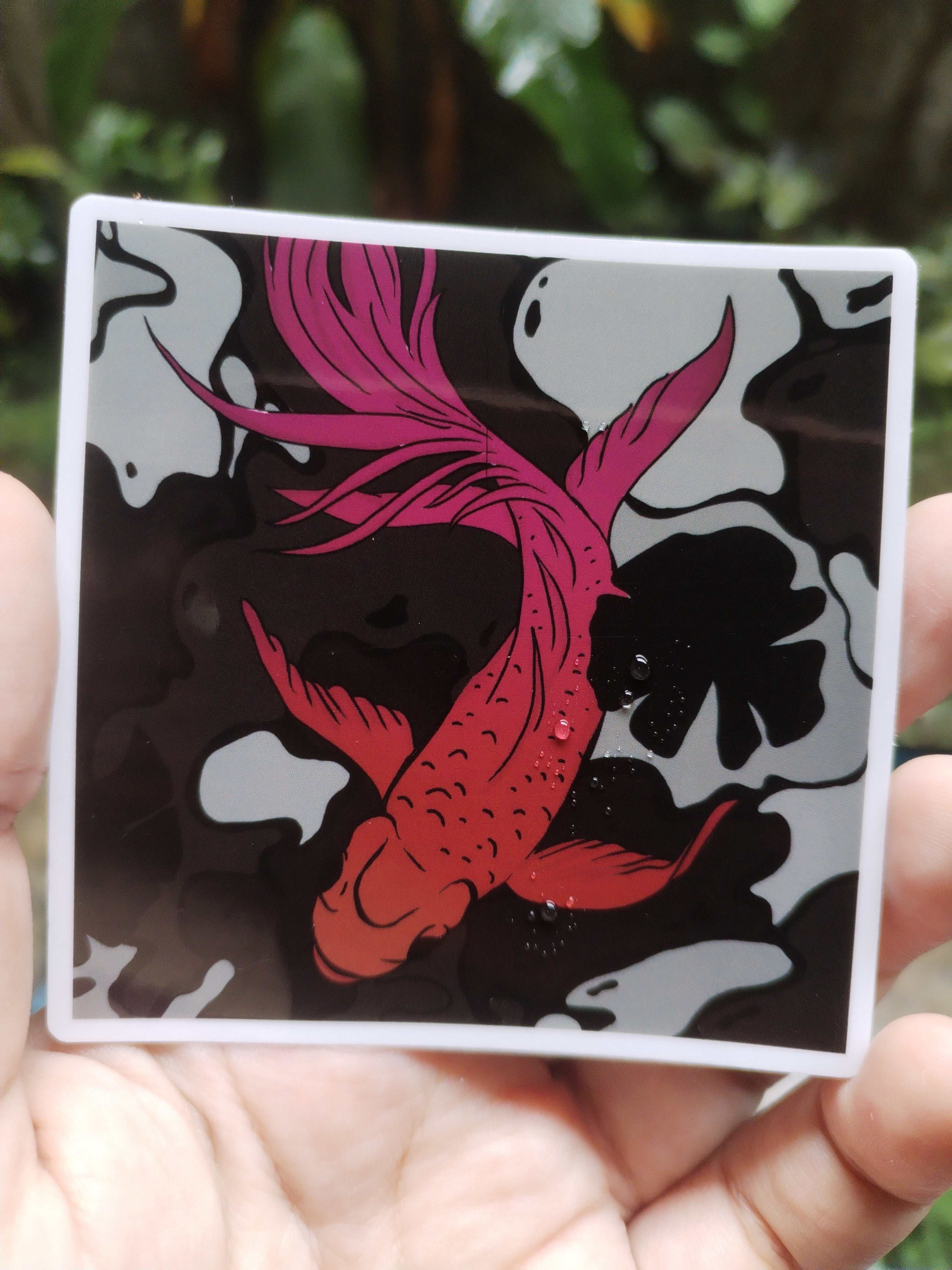 Koi 3