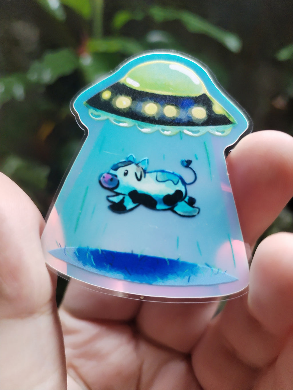 Vaquita y UFO