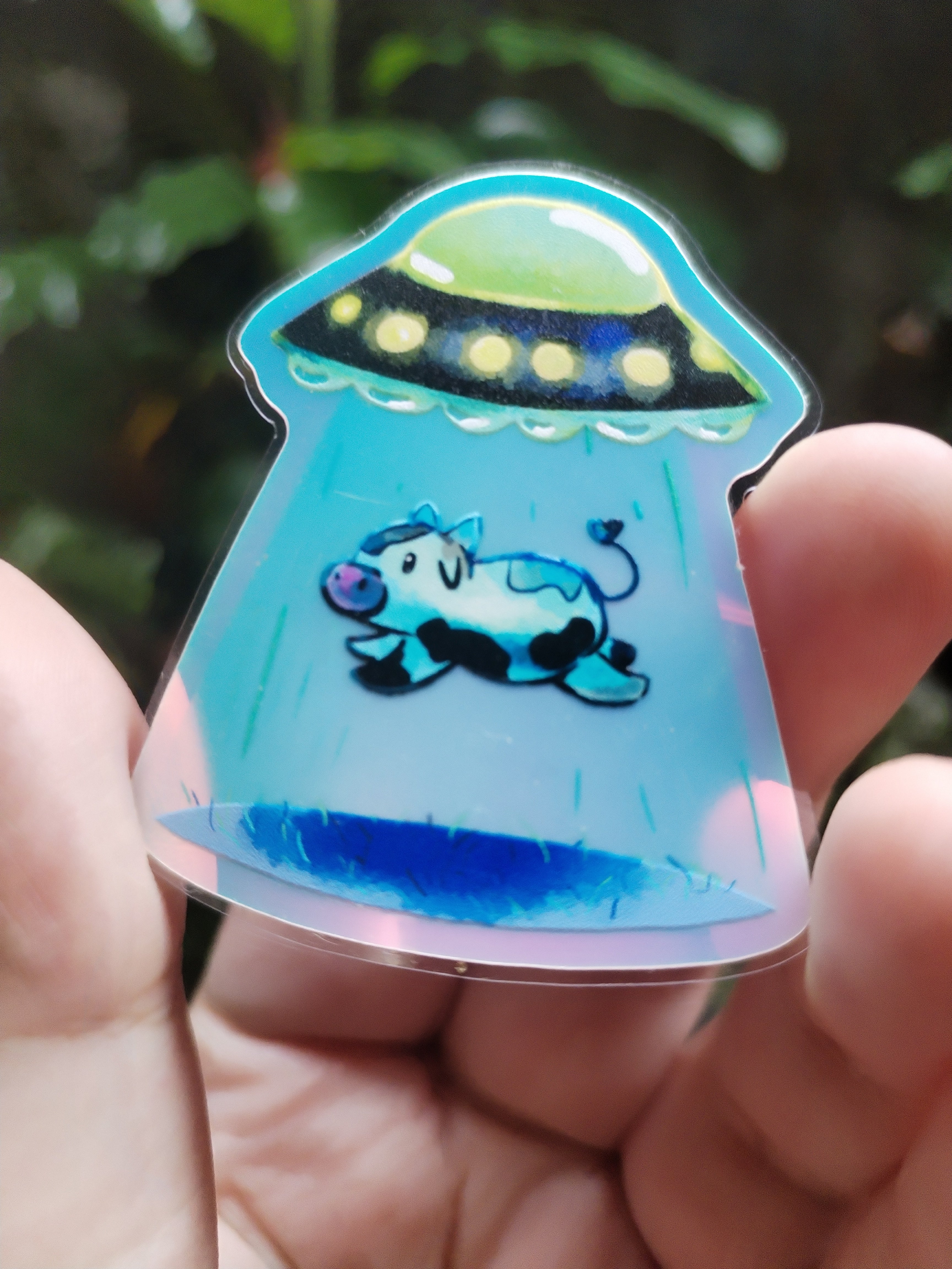 Vaquita y UFO