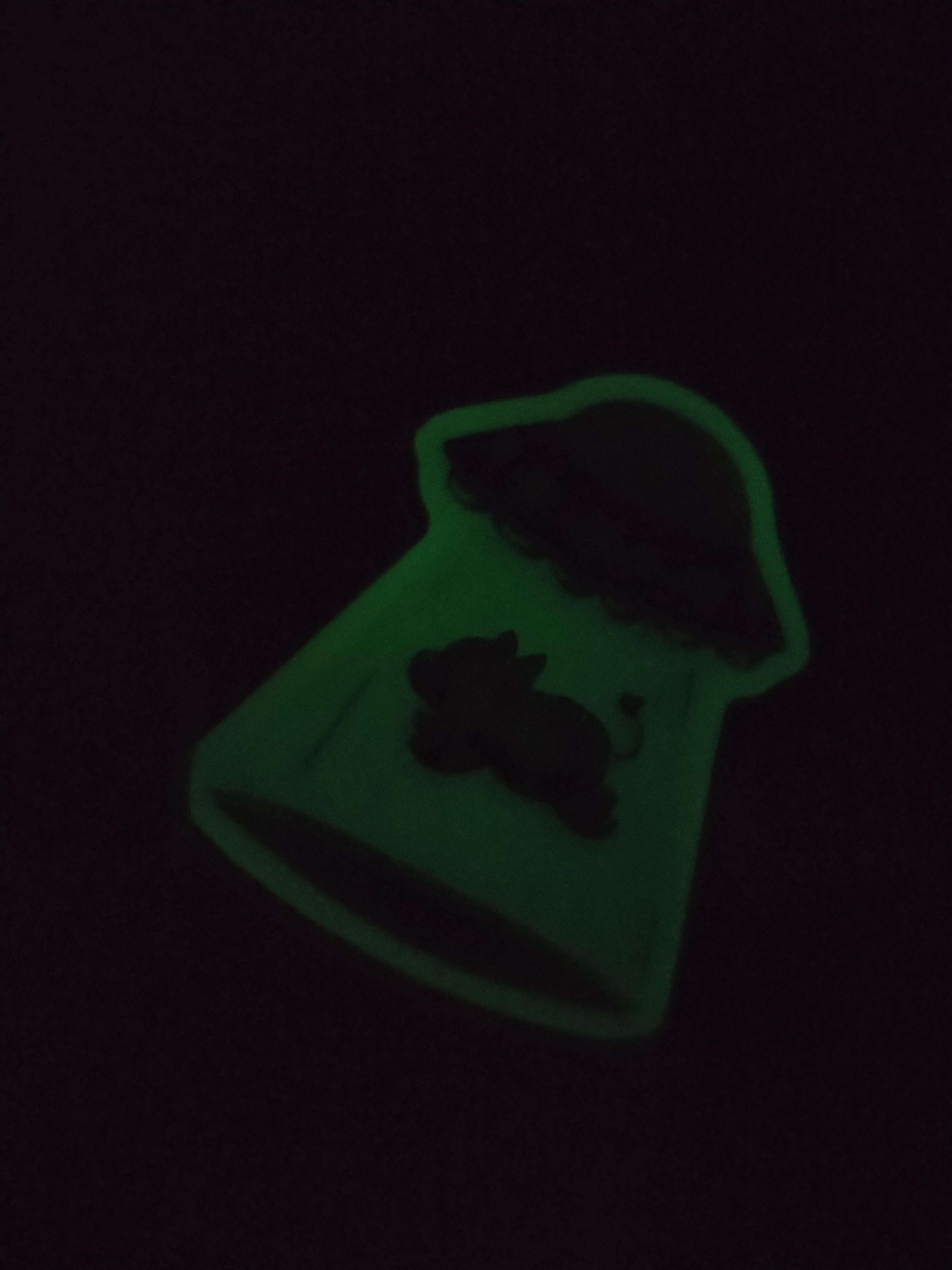 Vaquita y UFO