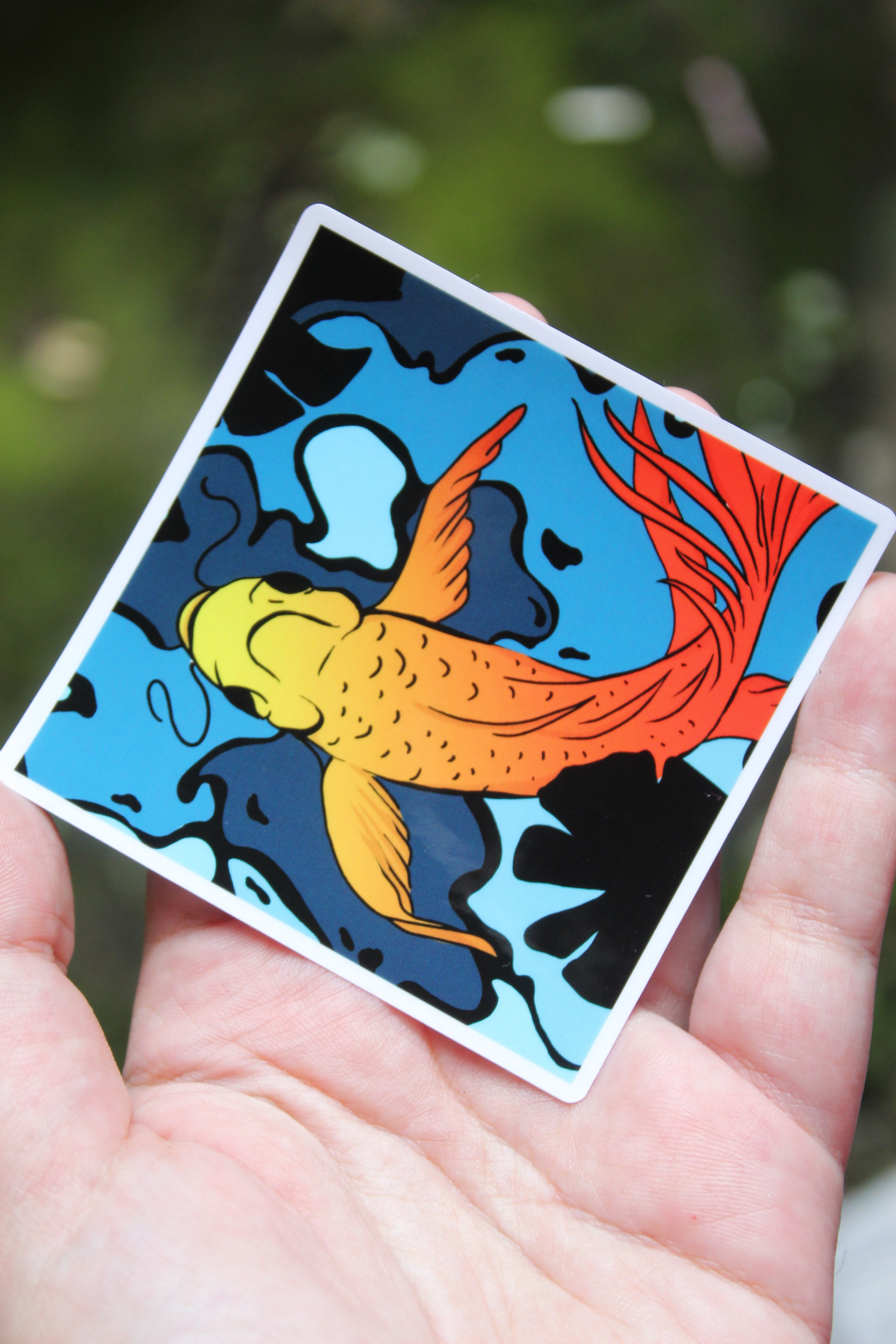 Koi 1