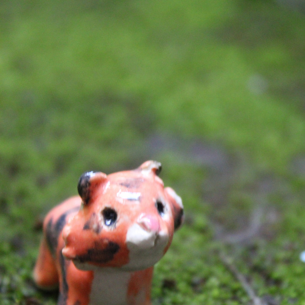 I Said Tiger — Handmade Pottery