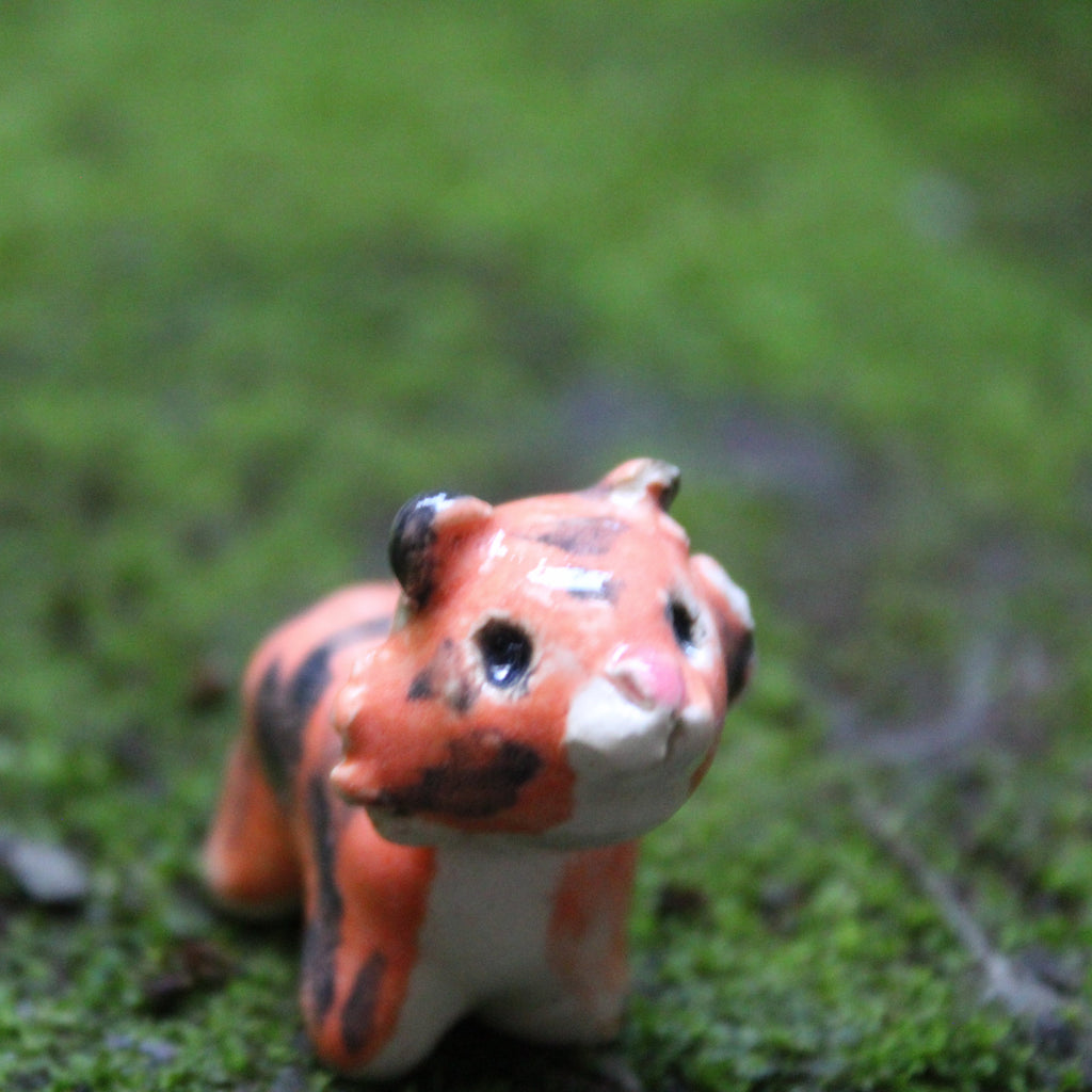I Said Tiger — Handmade Pottery