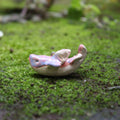 Dije Ballena Alada — Cerámica Artesanal